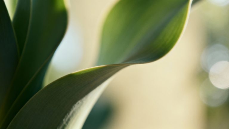 Achetez un appartement en espagne pas cher à 25 000 euros